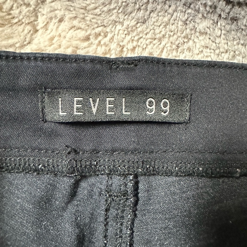 Level 99 Pants - image 2